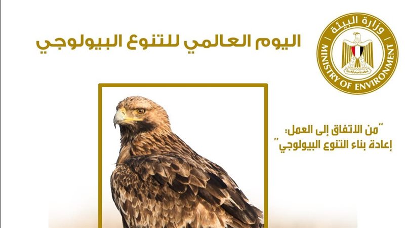 اليوم العالمي للتنوع