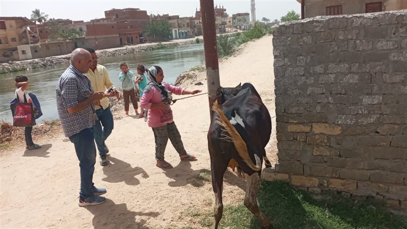 استمرار القوافل البيطرية