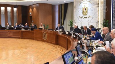 قرارات مجلس الوزراء، الحكومة توافق على مد خدمة 74 طبيبًا بشريًا