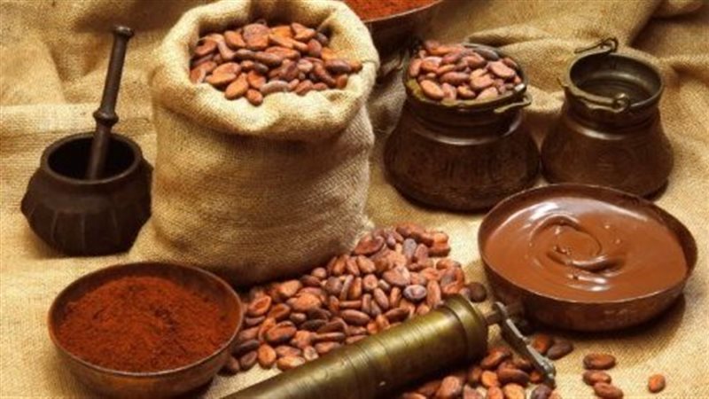 أطعمة تحمي من الضعف