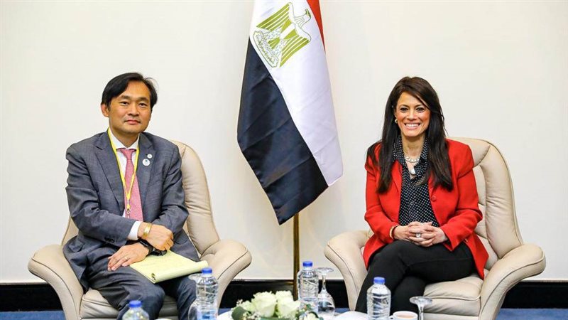 وزيرة التعاون الدولي