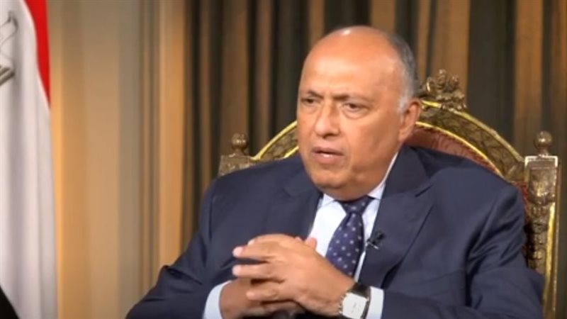 سامح شكرى وزير الخارجية،