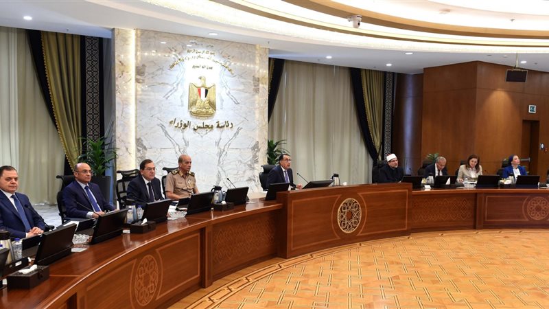 مجلس الوزراء، فيتو