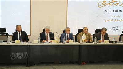 المشاركون في لجنة القضية السكانية يطالبون بضرورة وضع خريطة طريق للقضاء على الأزمة