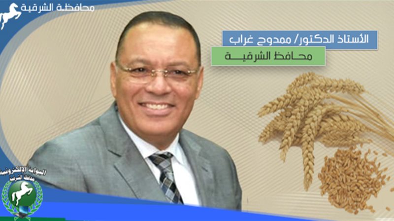 توريد 485 الف طن