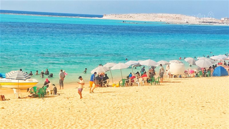 شواطئ مطروح،فيتو
