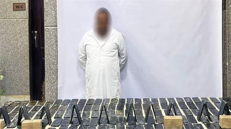 مخدر الحشيش - المضبوطات،فيتو