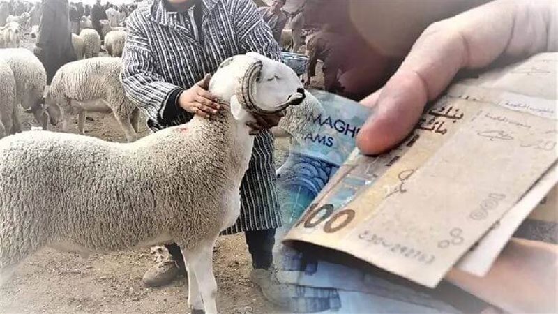 أضاحي العيد، فيتو