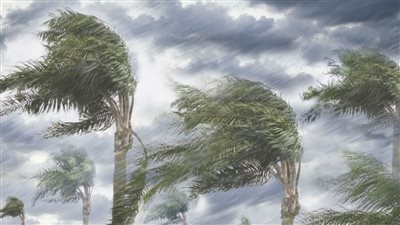 ماذا يقول ويفعل المسلم عند اشتداد الرياح 