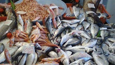 تفسير حلم شراء السمك في المنام وعلاقته بالحصول على مال كثير 