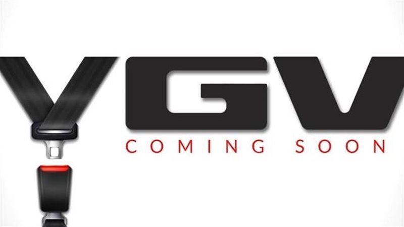 سيارات VGV،فيتو