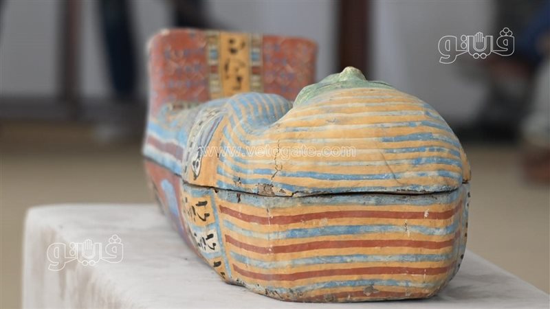 اكتشاف اثري بسقارة،