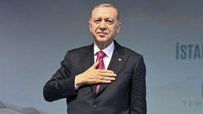 أردوغان، فيتو
