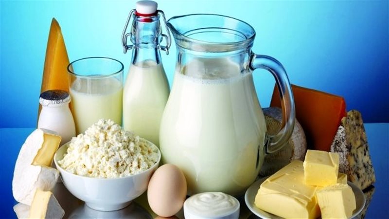أسعار الألبان اليوم،