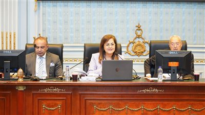 هالة السعيد: إعلان حوافز للأسر الملتزمة بعدد أفراد معين أول يونيو