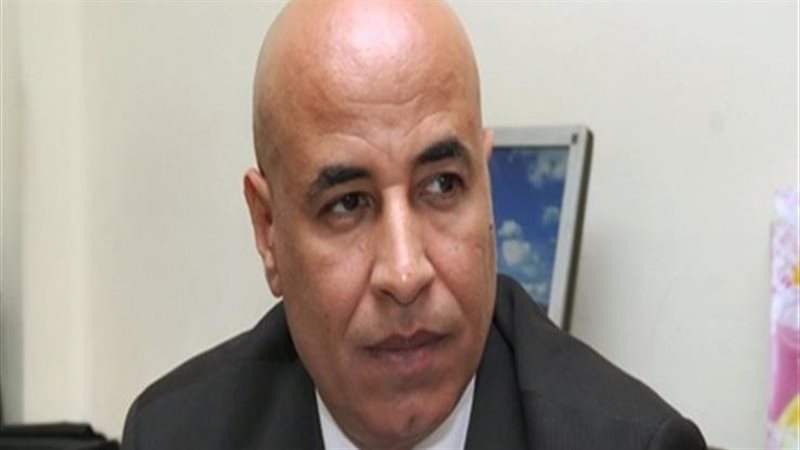عادل حنفي نائب رئيس