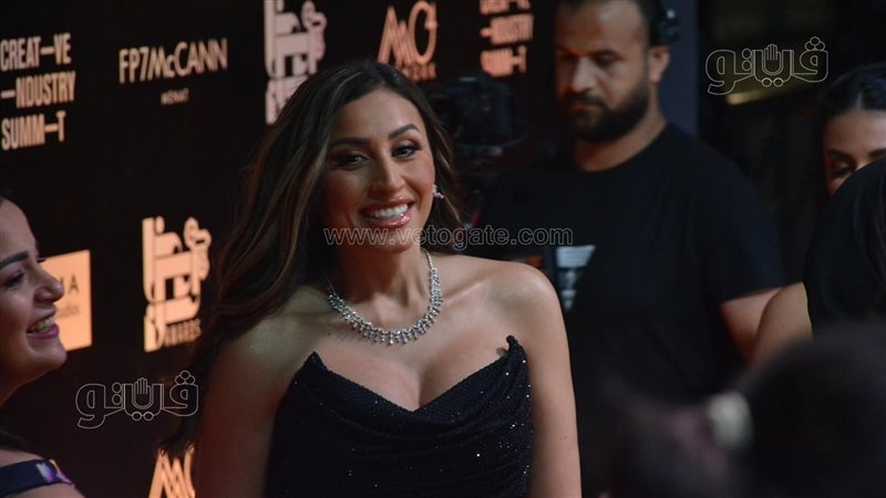 دينا الشربيني، فيتو