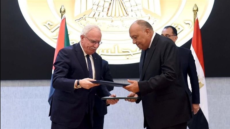 سامح شكرى وزير الخارجية