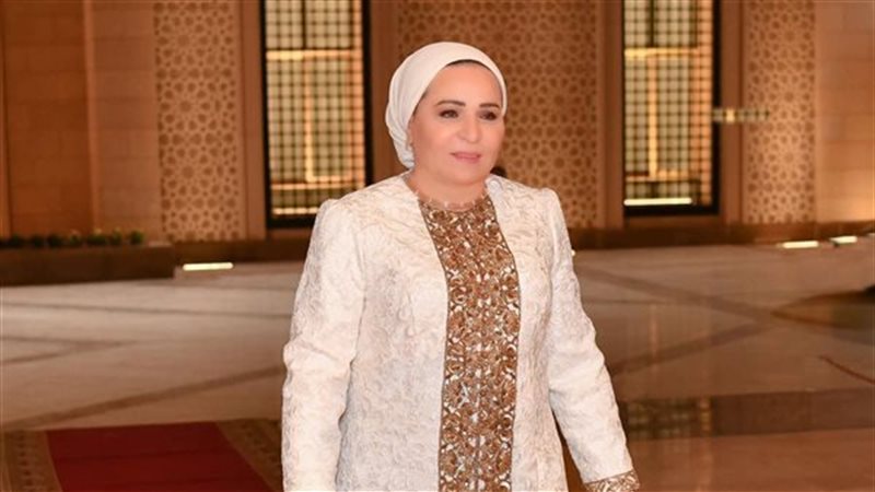 انتصار السيسي، فيتو