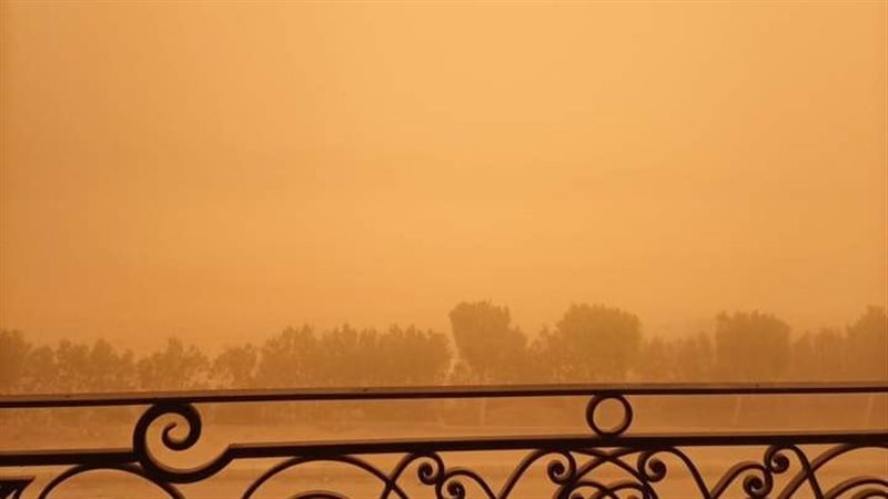 حالة الطقس غدا، فيتو