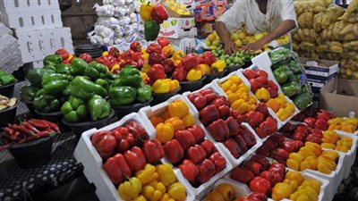 البيئة: فقدان ما يقرب من 15% من الأغذية في مرحلة ما بعد الحصاد حتى وصولها إلى السوبر ماركت