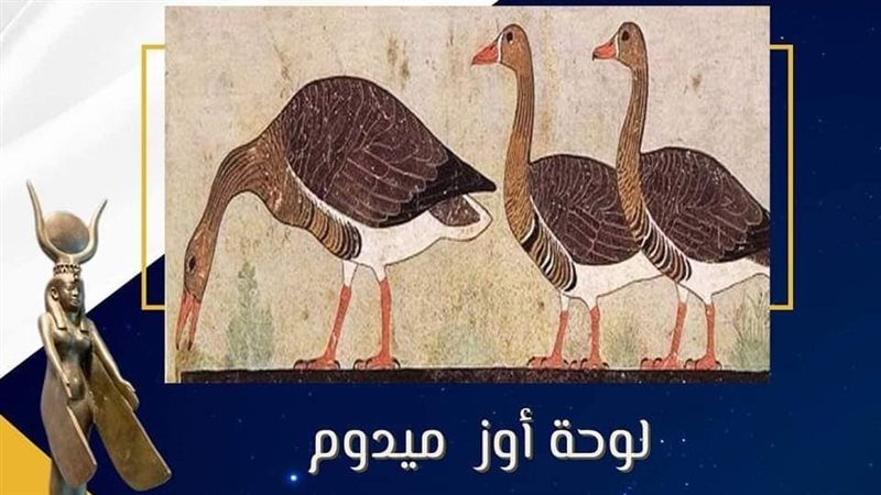 مناظر تربية الطيور