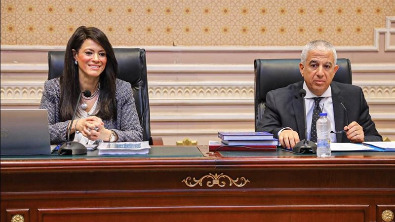 الدكتورة رانيا المشاط