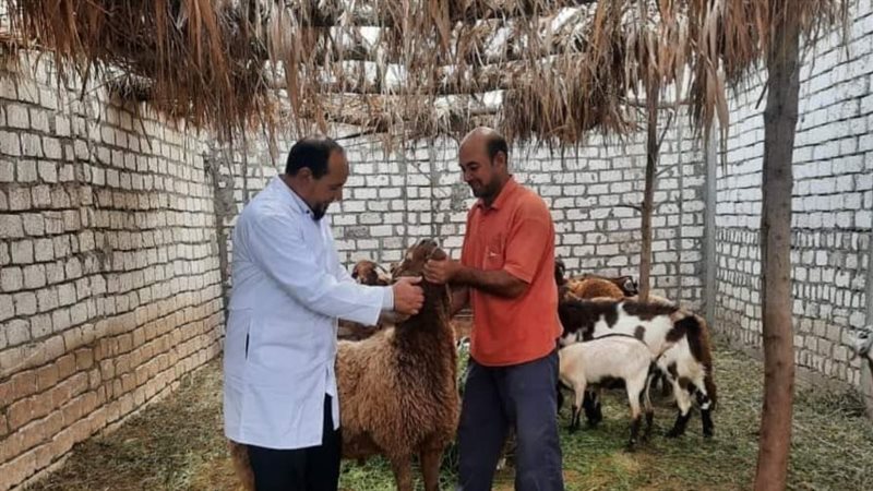 تقديم خدمات طبية