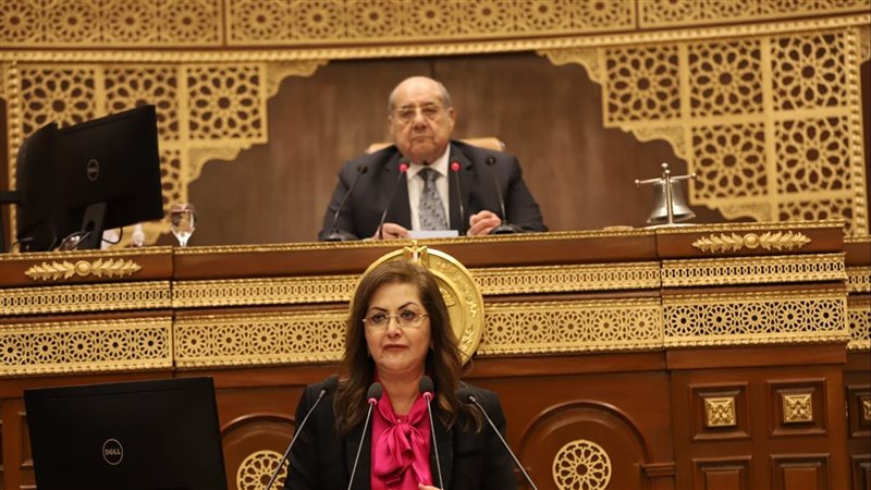 وزيرة التخطيط أمام