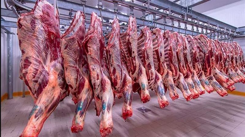 اسعار اللحوم اليوم،