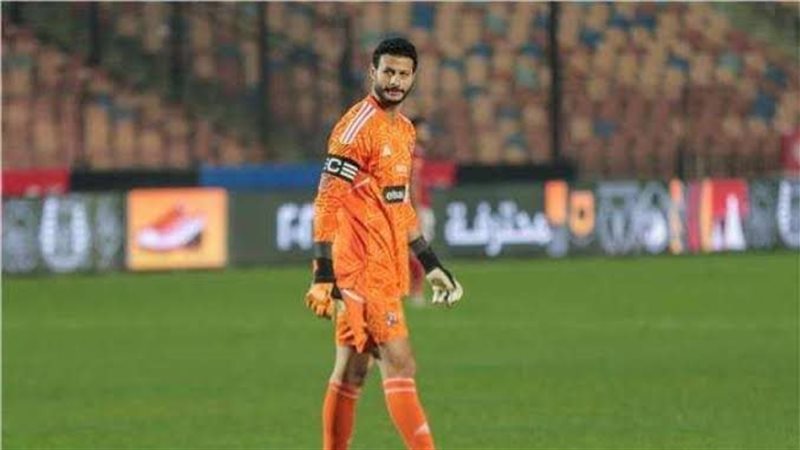 محمد الشناوى، فيتو