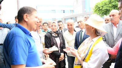 أول قرية خضراء، وزيرة البيئة تتفقد أبو دومة في سوهاج 