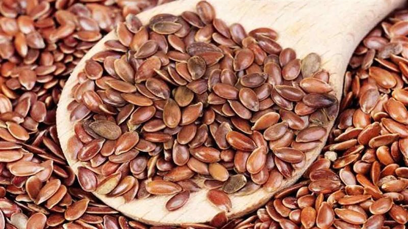 حب الرشاد وفوائده،