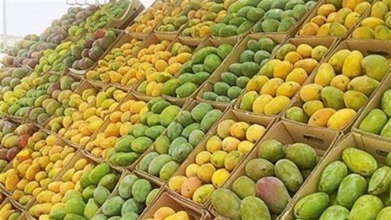 أسعار المانجو في