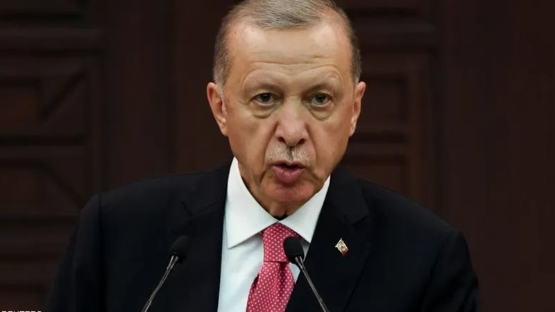 أردوغان، فيتو 