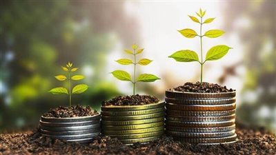 تعرف على نظام الاستثمار في المناطق الاستثمارية وفقا للقانون