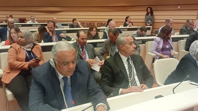 حسن شحاتة وزير العمل،فيتو