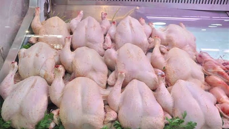 أسعار الدواجن والبط