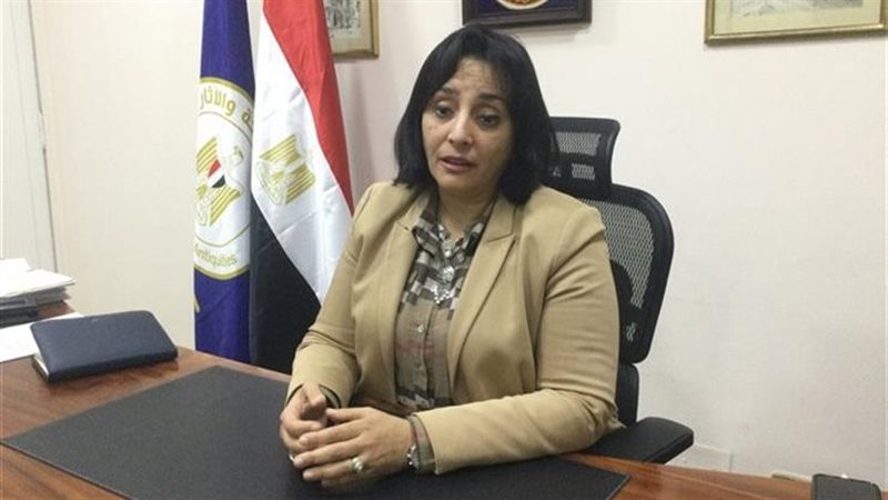 غادة شلبي نائب وزير