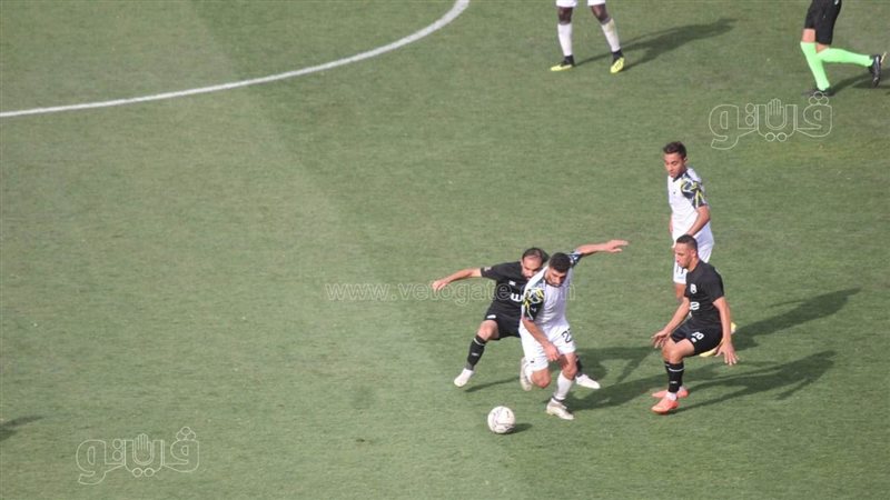 زد، فيتو