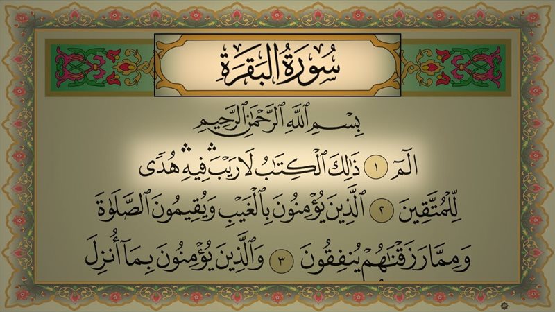 سورة البقرة،فيتو