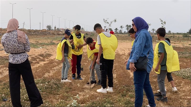 إعمار سيناء بزراعة