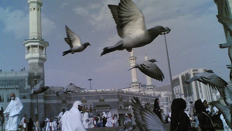 قصة حمام مكة والمدينة