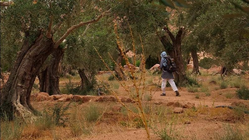 قبيلة الجبالية، فيتو
