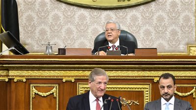 برلماني يطالب بالاهتمام بقطاعي الزراعة والصناعة لدعم موازنة الدولة 