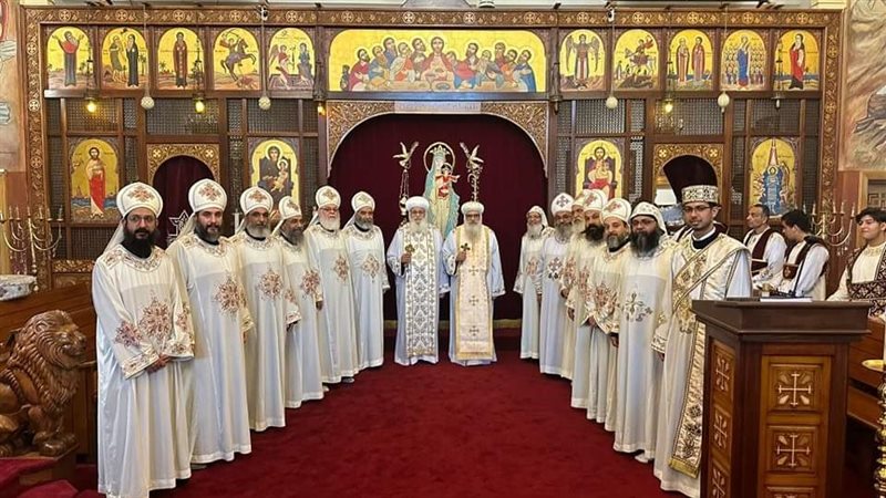 ايبارشية هولندا,