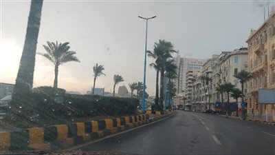 سقوط أمطار على شرق ووسط الإسكندرية (صور)