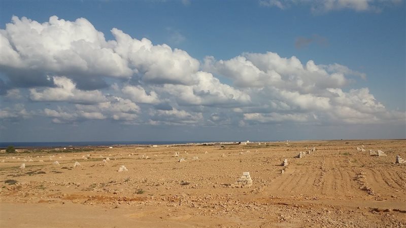أراضي الإسكان, فيتو