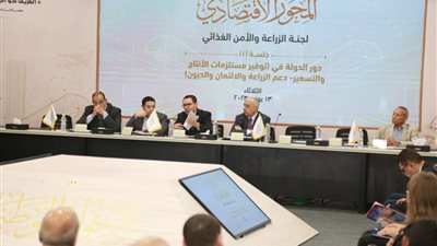 رئيس معهد البحوث: لدينا ما يحقق الاكتفاء الذاتي من المحاصيل الاستراتيجية