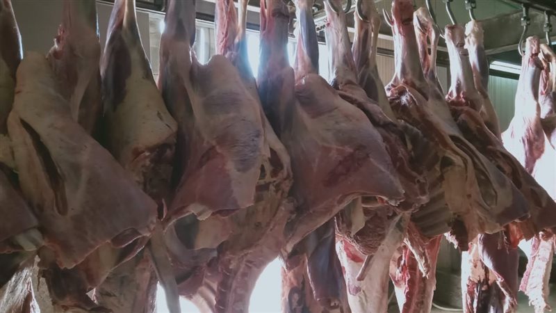 اسعار اللحوم السودانية،